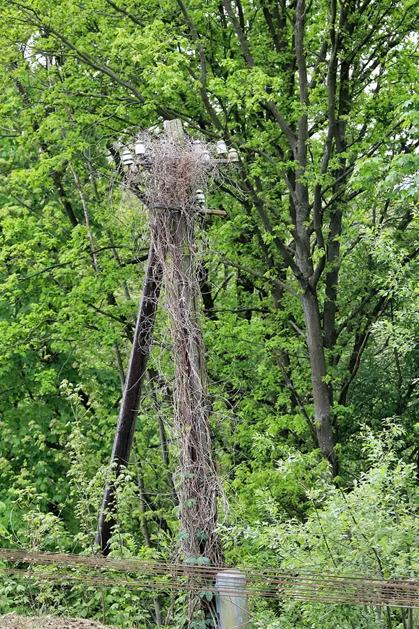 029 | 2023 | Wechselburg | © carsten riede fotografie