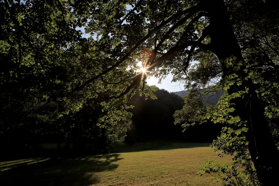 032 | 2023 | Bad Urach | © carsten riede fotografie