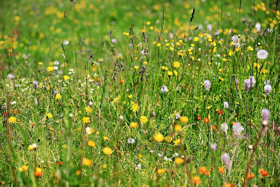 017 | 2023 | Buchensteinwand | © carsten riede fotografie