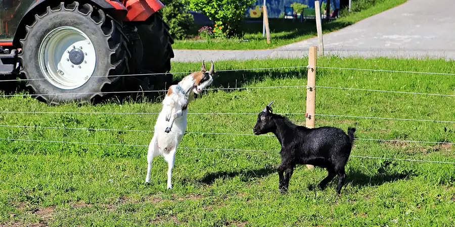 073 | 2023 | Walchsee | © carsten riede fotografie