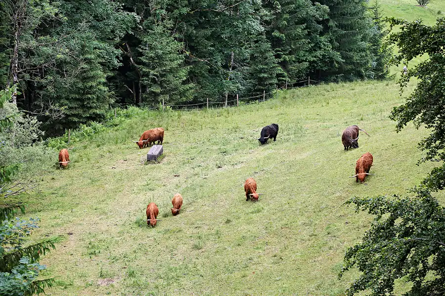 134 | 2023 | Kufstein | Kufstein-Stadtberg | © carsten riede fotografie