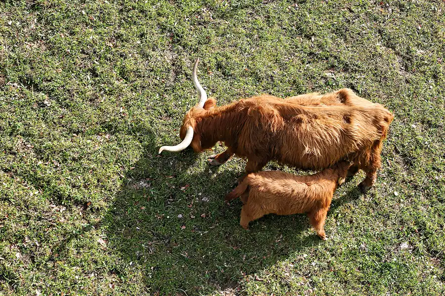 135 | 2023 | Kufstein | Kufstein-Stadtberg | © carsten riede fotografie