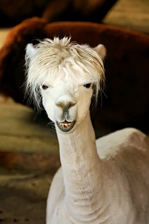 137 | 2023 | Kufstein | Kufstein-Stadtberg | © carsten riede fotografie