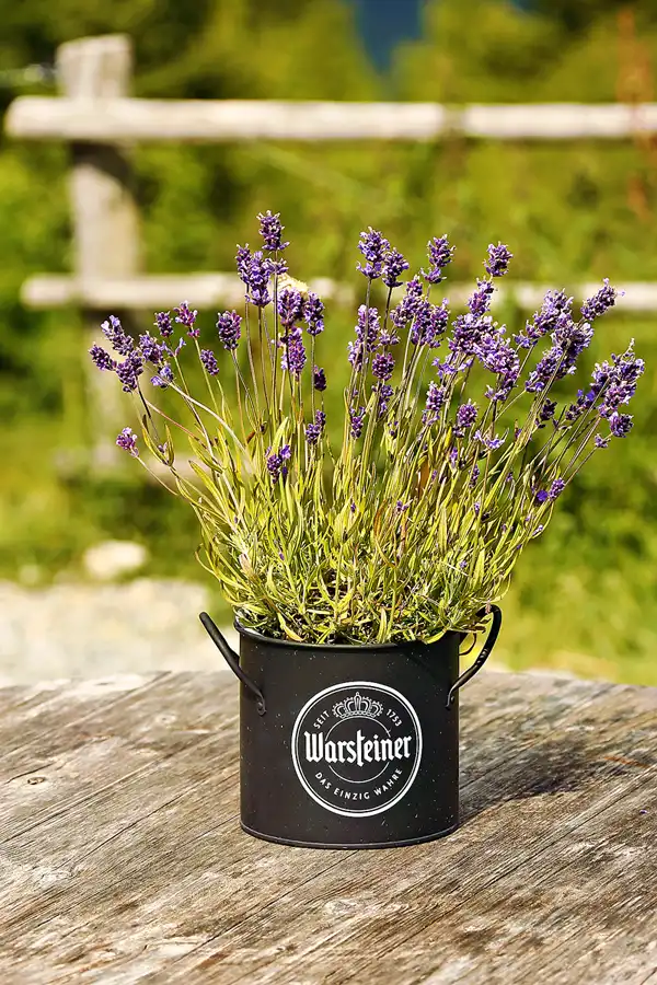 139 | 2023 | Kufstein | Kufstein-Stadtberg | © carsten riede fotografie