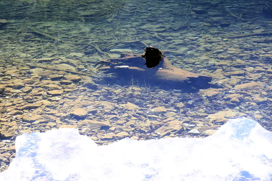 031 | 2023 | Schönau am Königssee | Rund um den Obersee | © carsten riede fotografie