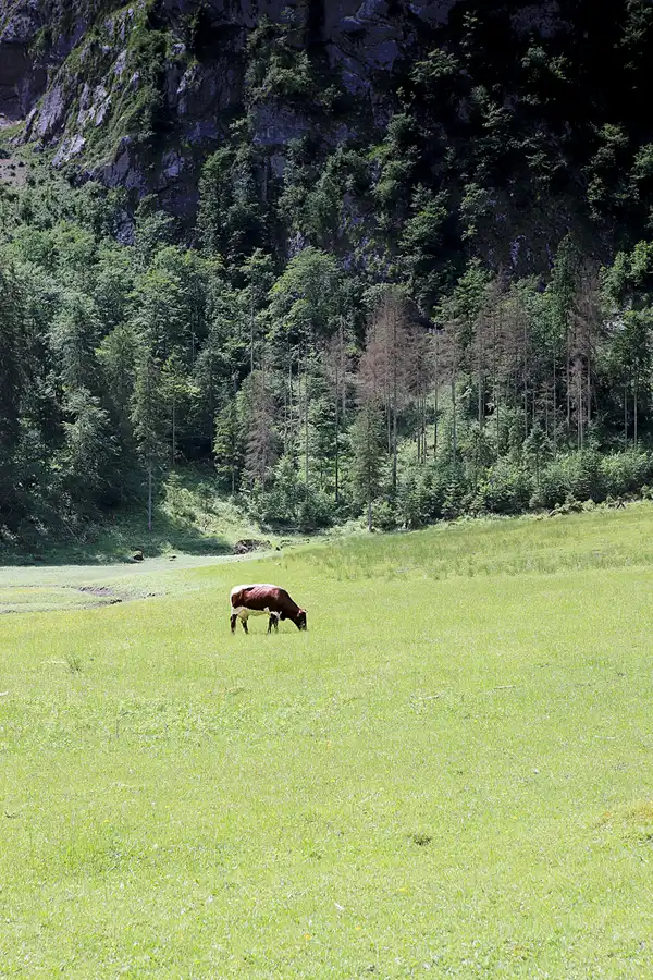 039 | 2023 | Schönau am Königssee | Rund um den Obersee | © carsten riede fotografie