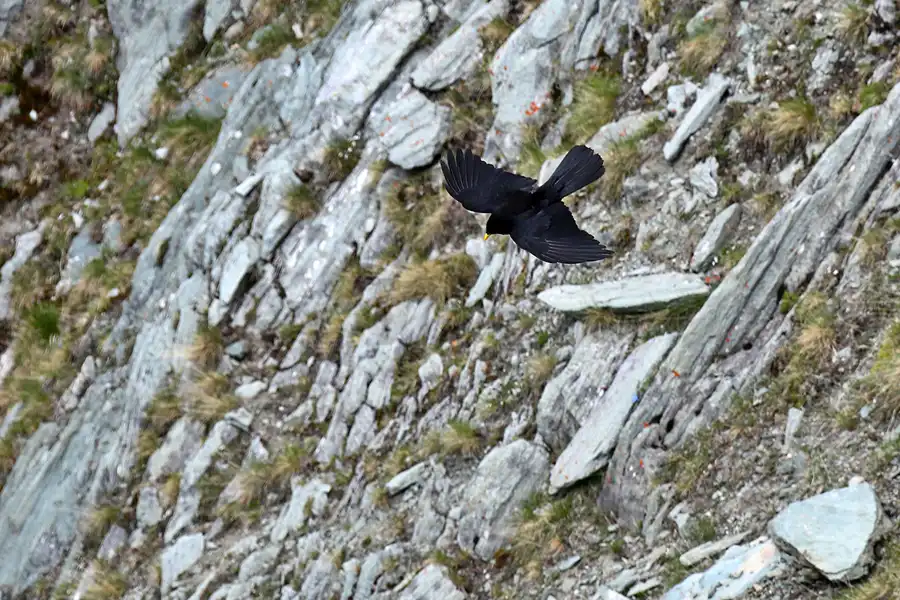 037 | 2023 | Grossglockner Hochalpenstrasse | © carsten riede fotografie