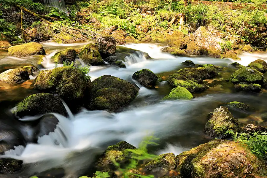 031 | 2023 | Golling an der Salzach | Gollinger Wasserfall | © carsten riede fotografie