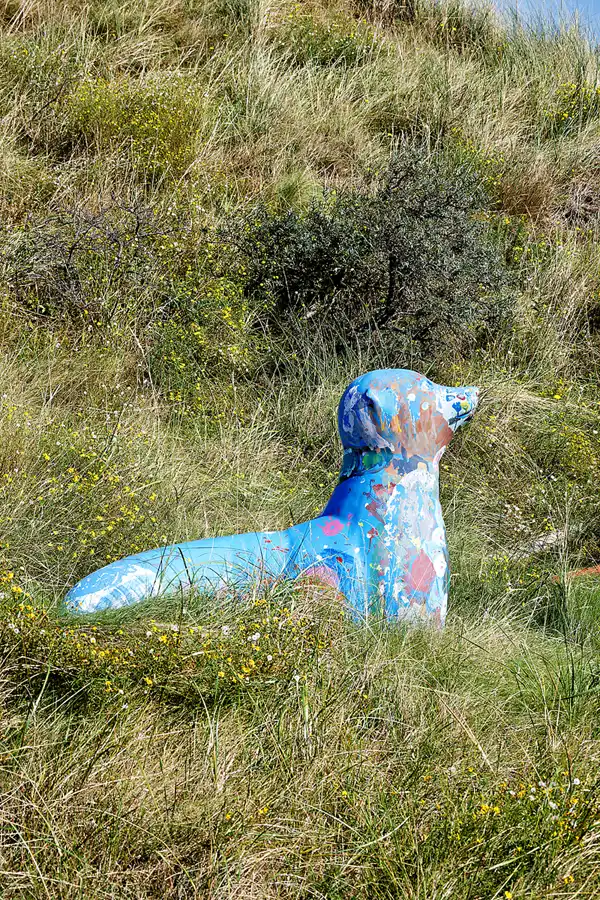 033 | 2023 | Langeoog | © carsten riede fotografie