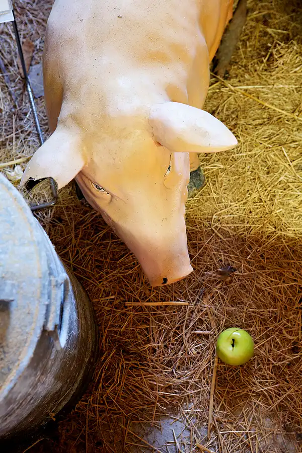 021 | 2023 | Norden | Automobil- & Spielzeugmuseum Nordsee | © carsten riede fotografie