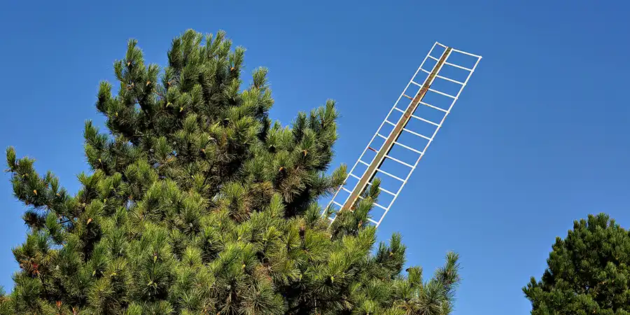 015 | 2023 | Carolinsiel | Deichmühle | © carsten riede fotografie