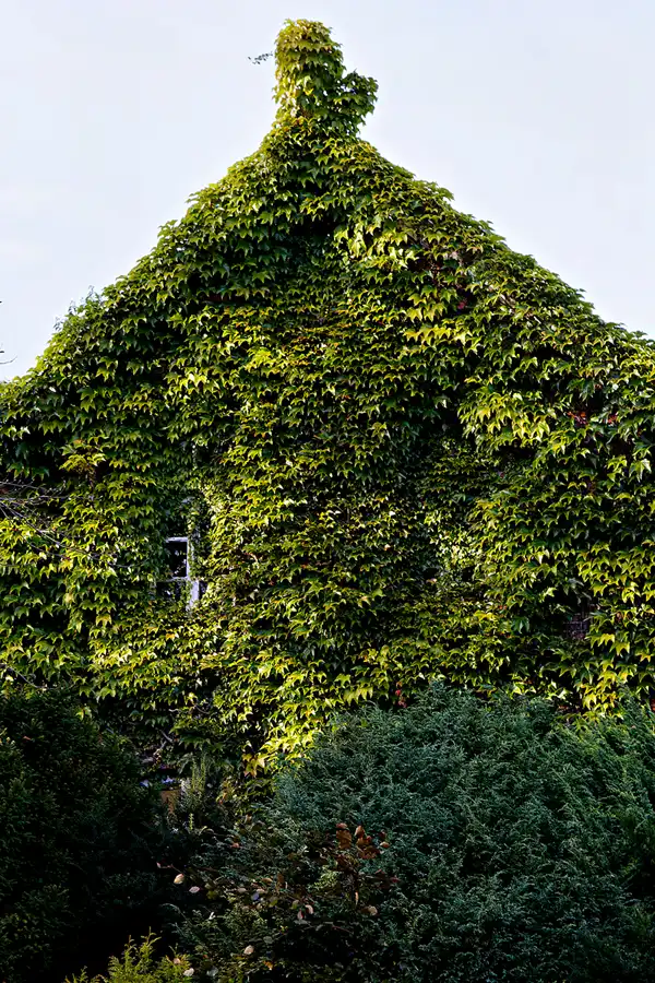 043 | 2023 | Hage | © carsten riede fotografie