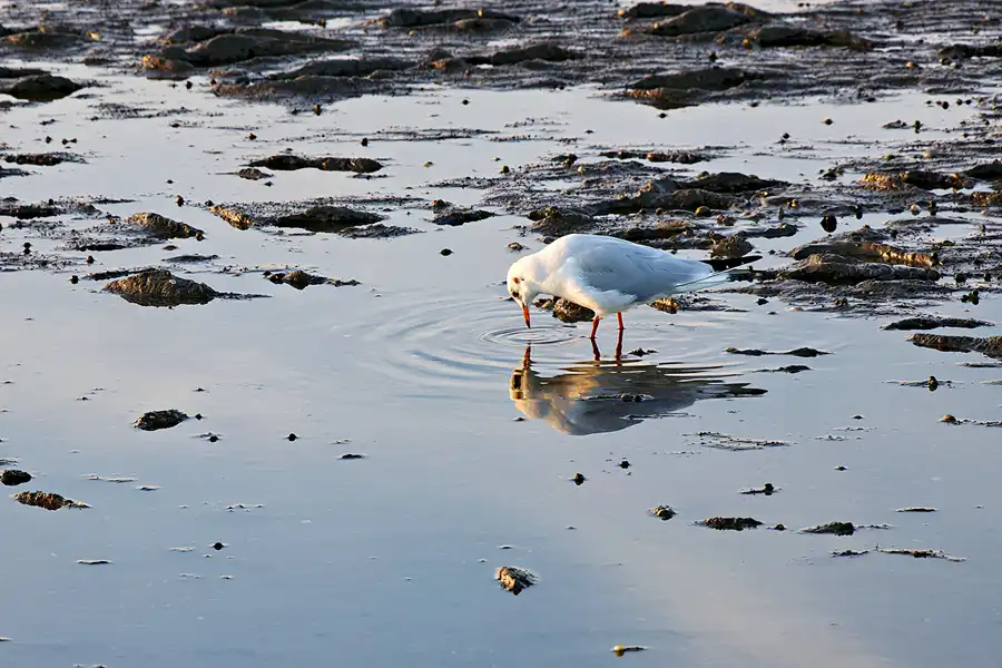 055 | 2023 | Harlesiel | © carsten riede fotografie