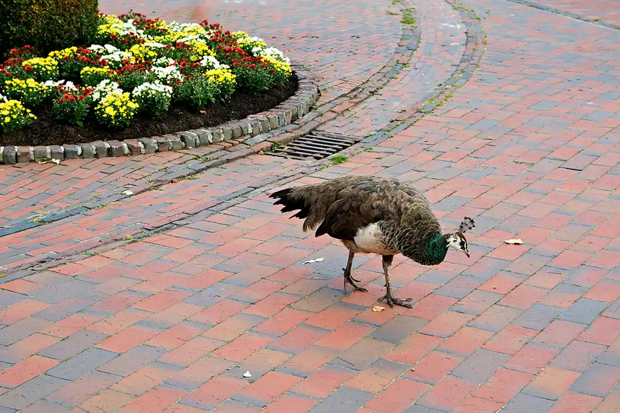 067 | 2023 | Jever | © carsten riede fotografie