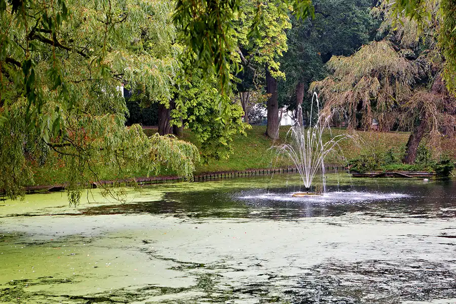080 | 2023 | Jever | © carsten riede fotografie