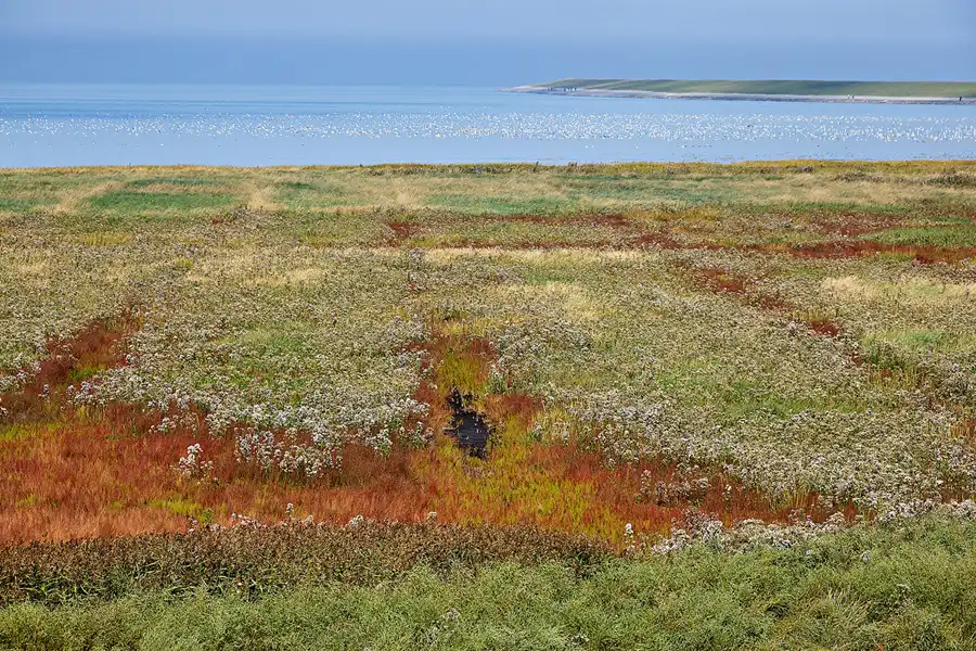 098 | 2023 | Krummhörn | © carsten riede fotografie