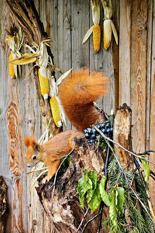 050 | 2023 | Ostrava | Landek Park | © carsten riede fotografie