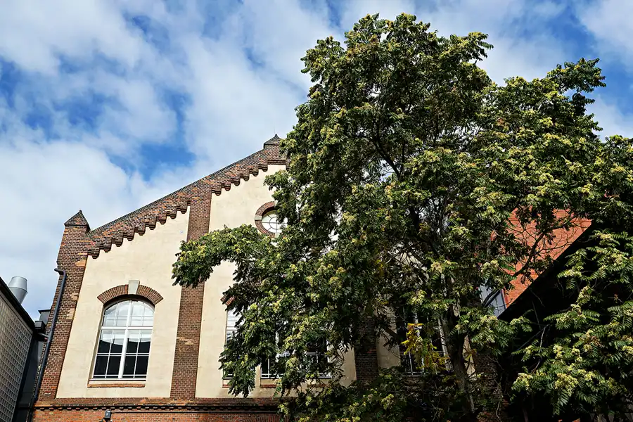 095 | 2023 | Ostrava | Dolni Vitkovive – Witkowitzer Eisenwerke | © carsten riede fotografie