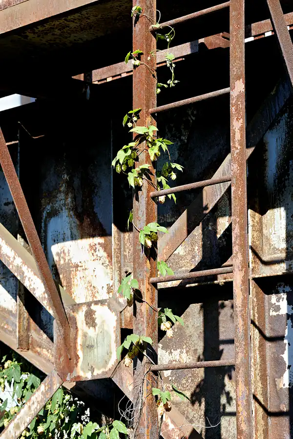 164 | 2023 | Ostrava | Dolni Vitkovive – Witkowitzer Eisenwerke | © carsten riede fotografie