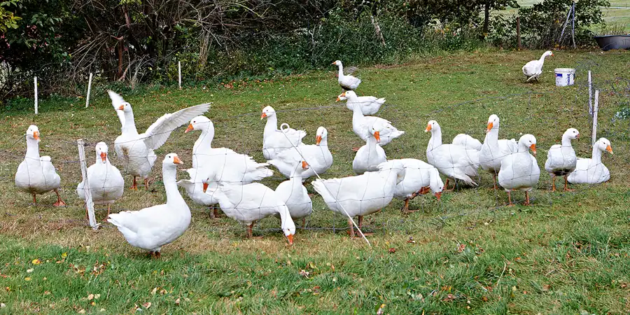 063 | 2023 | Olbersdorf | © carsten riede fotografie