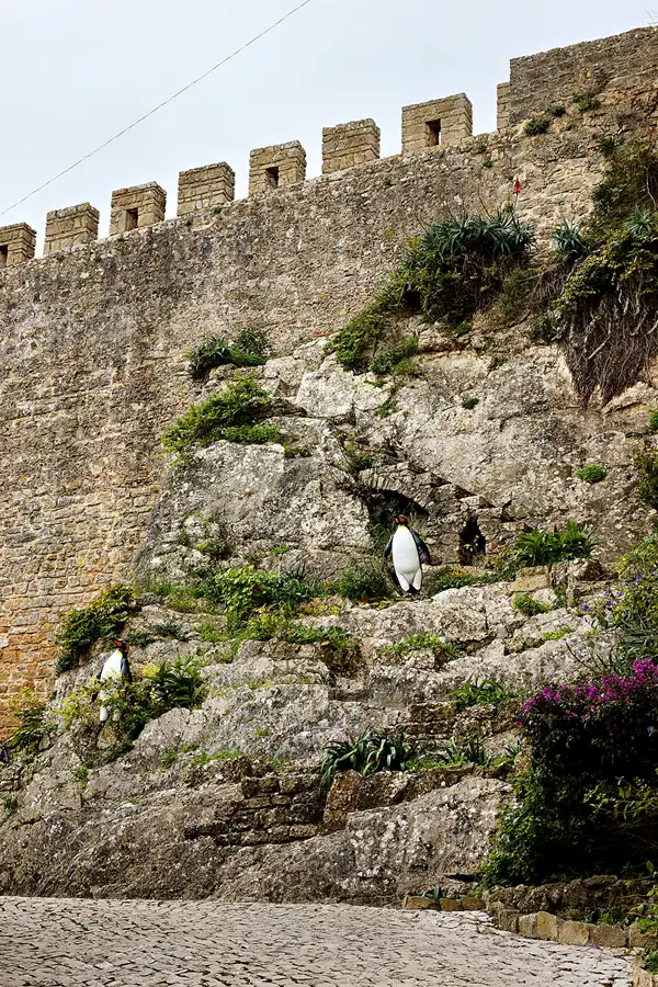 022 | 2023 | Obidos | © carsten riede fotografie