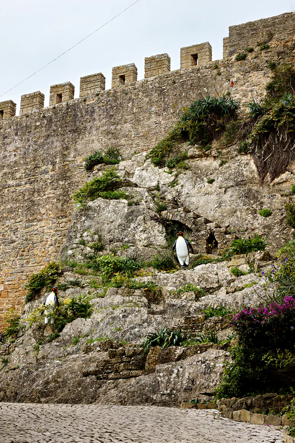 022 | 2023 | Obidos | © carsten riede fotografie