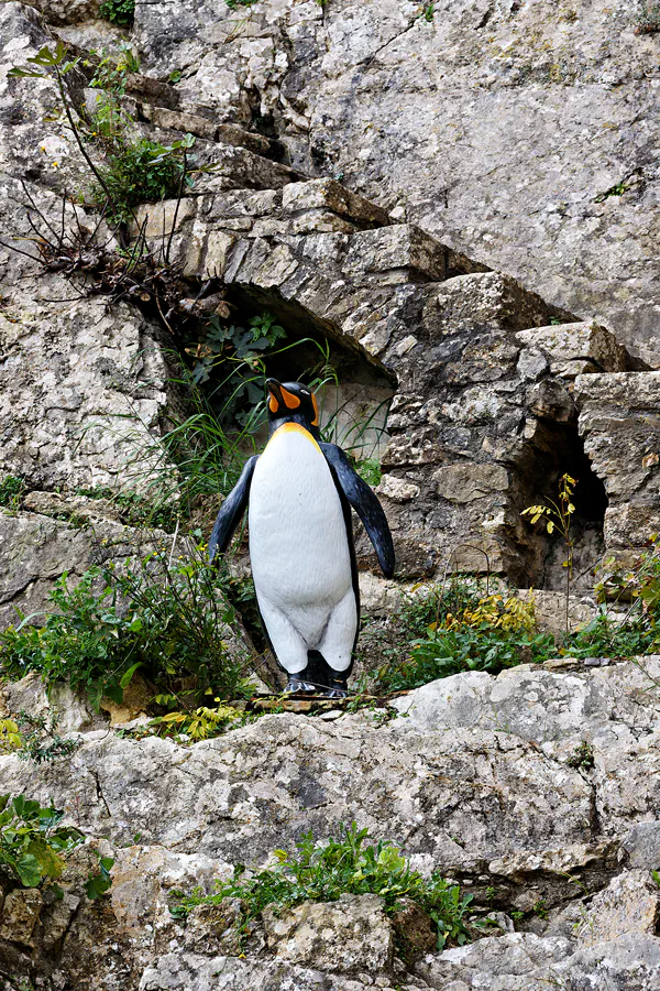 023 | 2023 | Obidos | © carsten riede fotografie