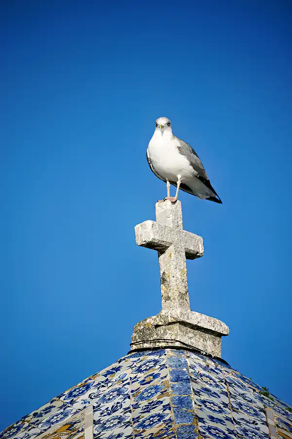 025 | 2023 | Nazare | © carsten riede fotografie