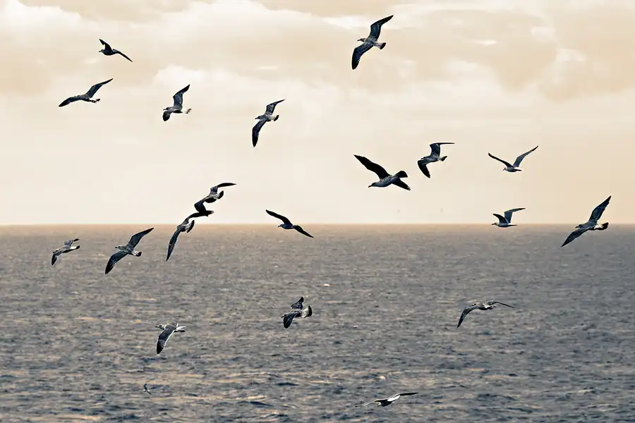 011 | 2023 | Cabo Carvoeiro | © carsten riede fotografie