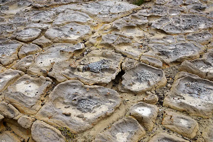019 | 2023 | Ponta do Trovao | © carsten riede fotografie
