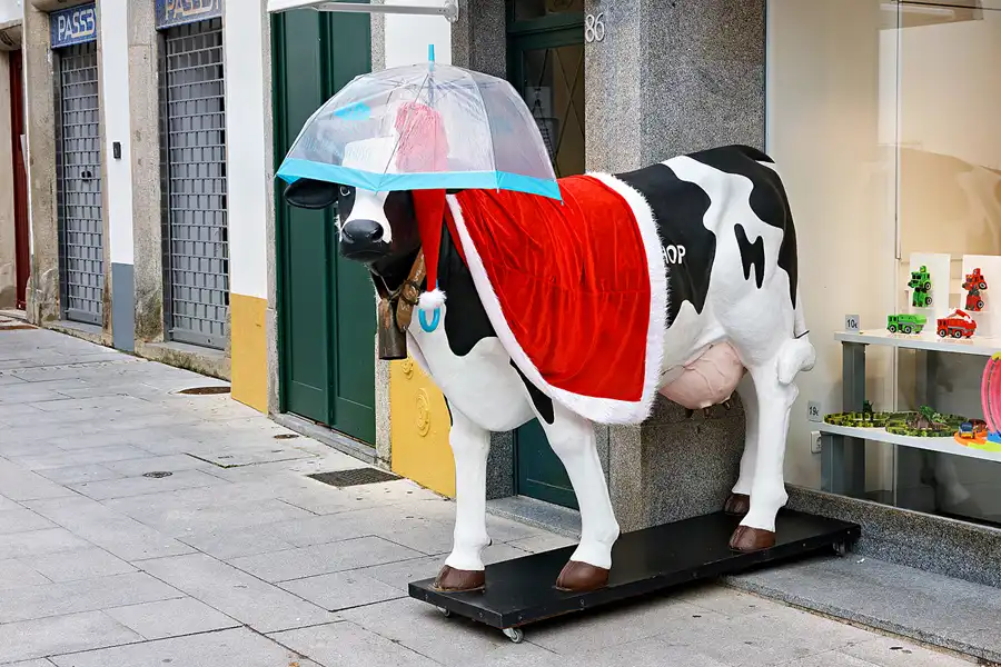 037 | 2023 | Evora | © carsten riede fotografie