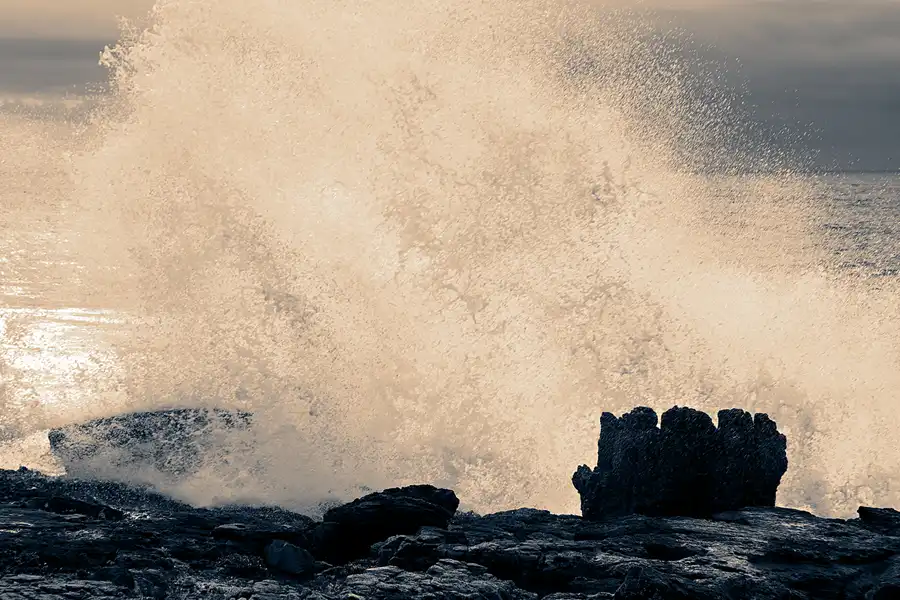 129 | 2023 | Viveiros de Marisco Pesca Verde | © carsten riede fotografie