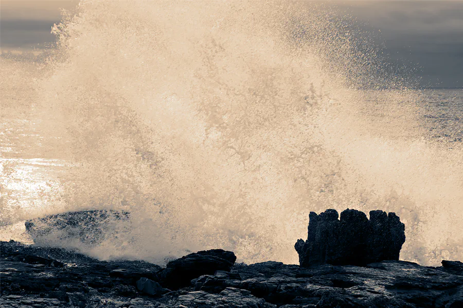 129 | 2023 | Viveiros de Marisco Pesca Verde | © carsten riede fotografie