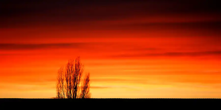 001 | 2024 | Berlin | Alt-Hohenschönhausen | © carsten riede fotografie