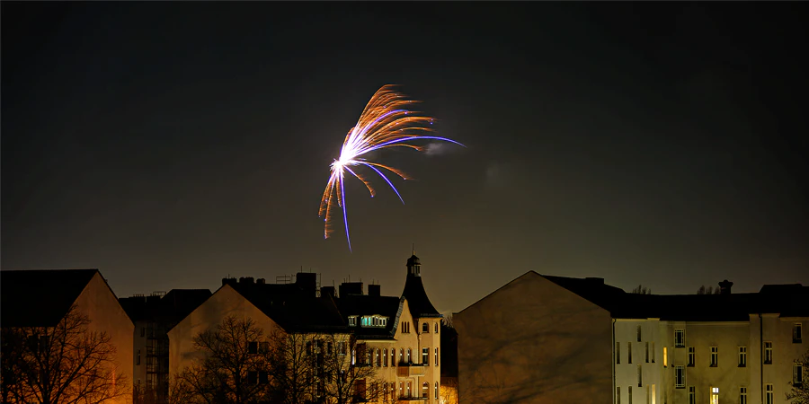 021 | 2024 | Berlin | Silvester-Feuerwerk in Alt-Hohenschönhausen | © carsten riede fotografie