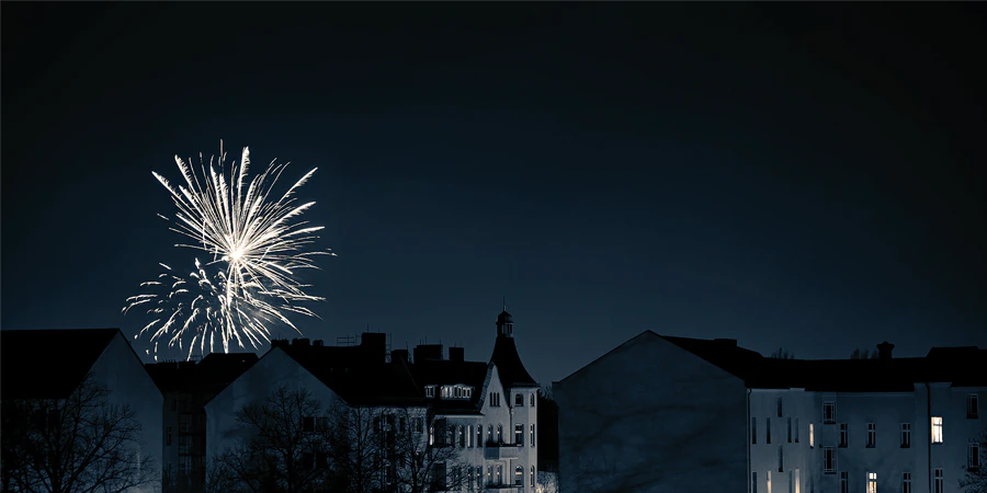046 | 2024 | Berlin | Silvester-Feuerwerk in Alt-Hohenschönhausen | © carsten riede fotografie