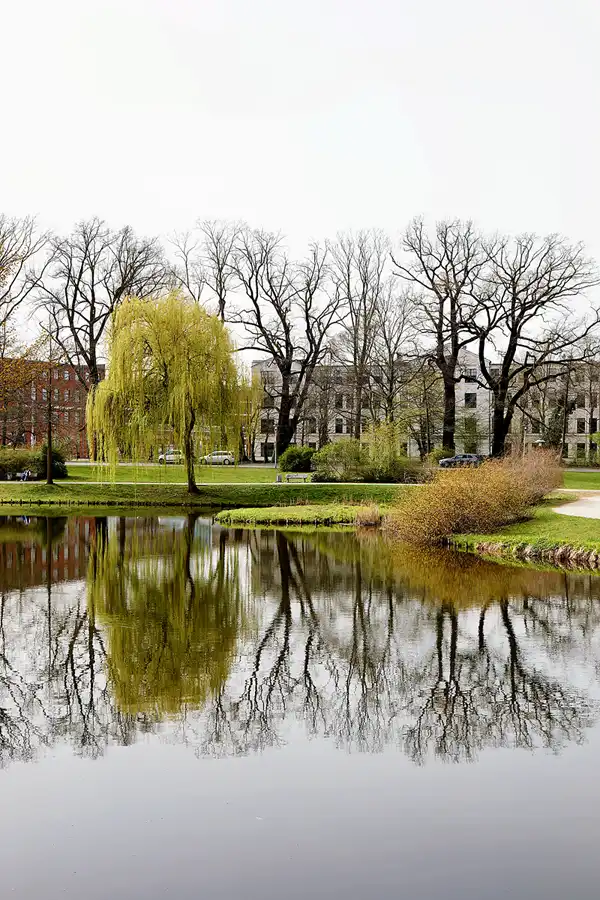 059 | 2024 | Cottbus | © carsten riede fotografie