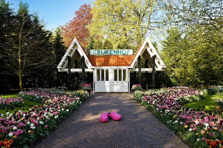 001 | 2024 | Lisse | Keukenhof | © carsten riede fotografie