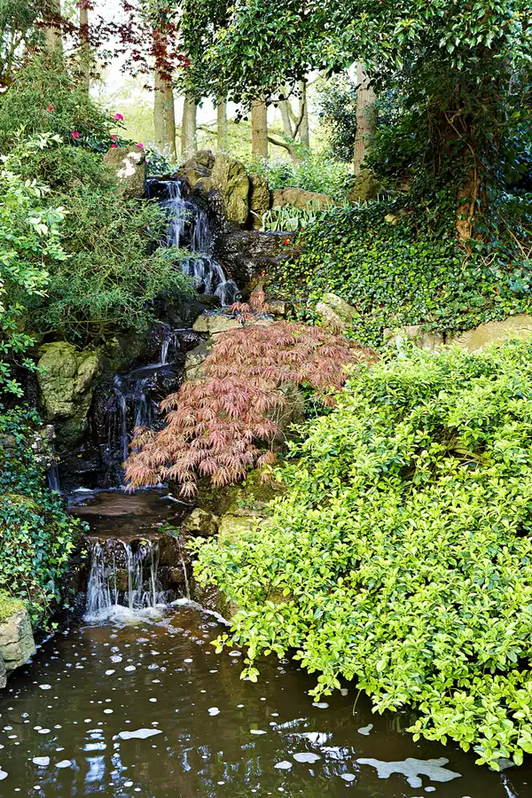 012 | 2024 | Lisse | Keukenhof | © carsten riede fotografie