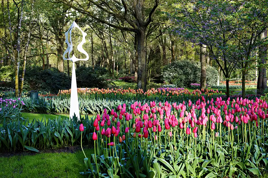 028 | 2024 | Lisse | Keukenhof | © carsten riede fotografie