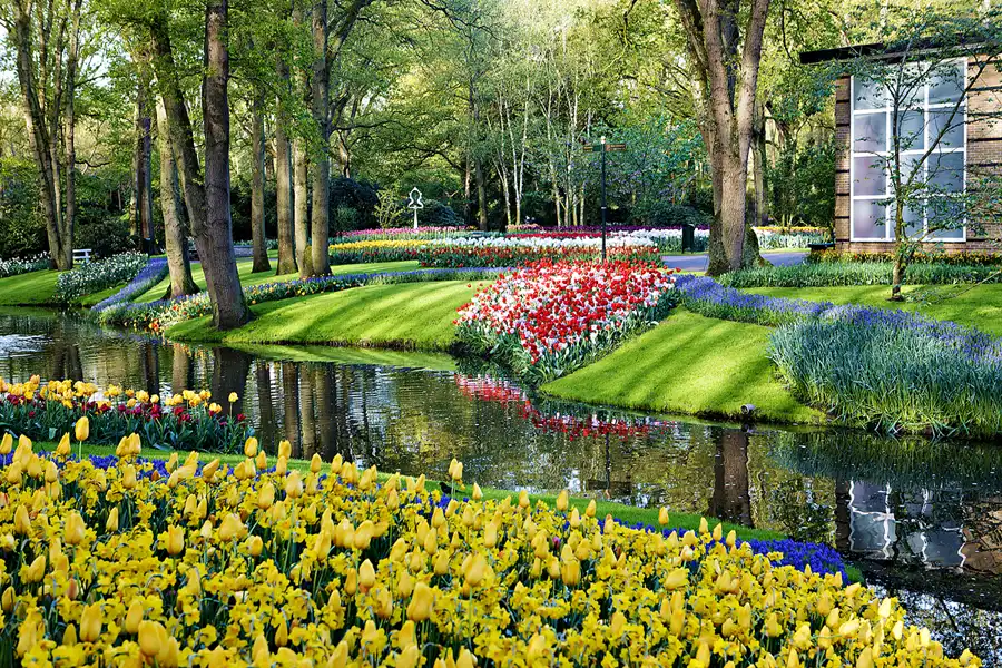 035 | 2024 | Lisse | Keukenhof | © carsten riede fotografie