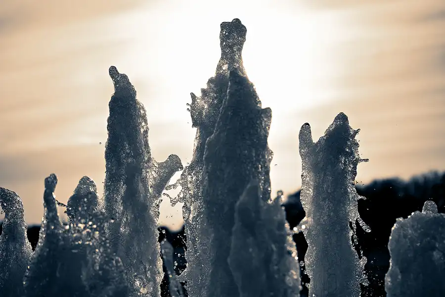 036 | 2024 | Lisse | Keukenhof | © carsten riede fotografie