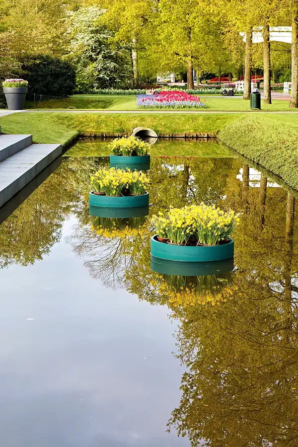 040 | 2024 | Lisse | Keukenhof | © carsten riede fotografie