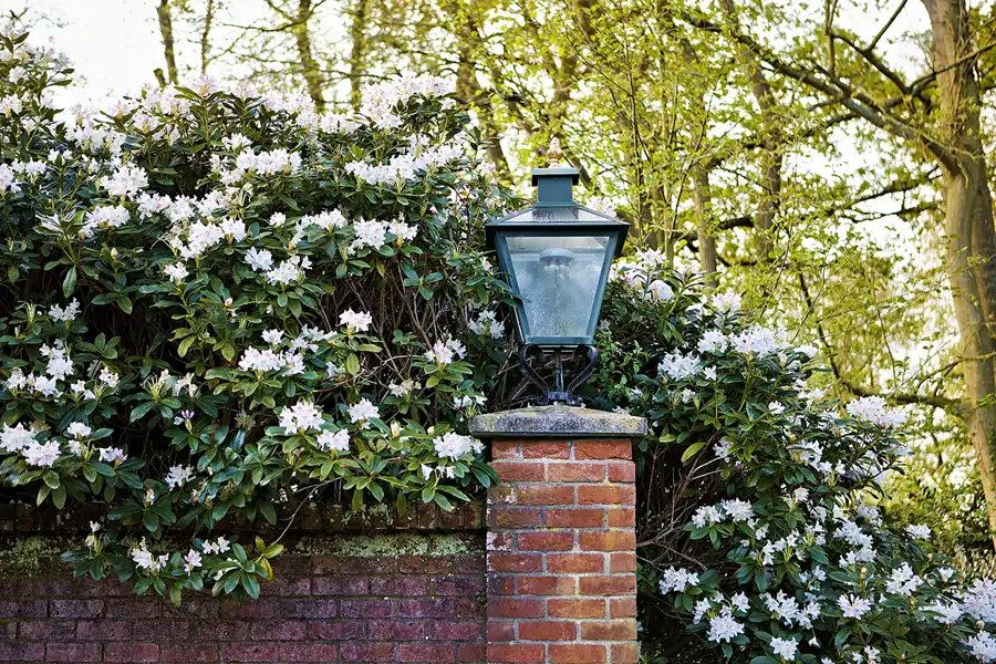 043 | 2024 | Lisse | Keukenhof | © carsten riede fotografie