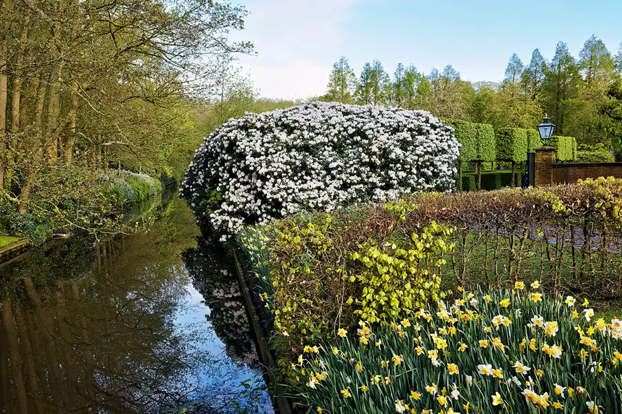 044 | 2024 | Lisse | Keukenhof | © carsten riede fotografie
