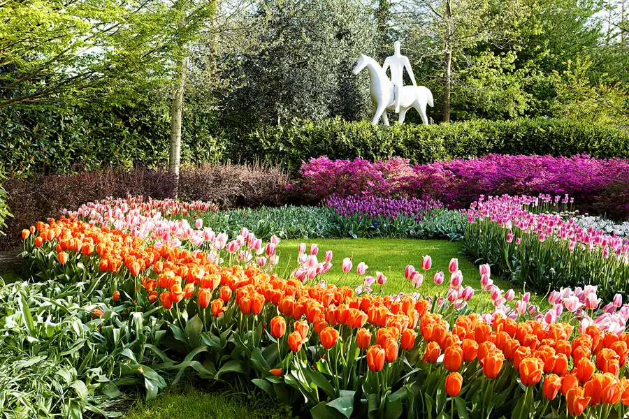 047 | 2024 | Lisse | Keukenhof | © carsten riede fotografie