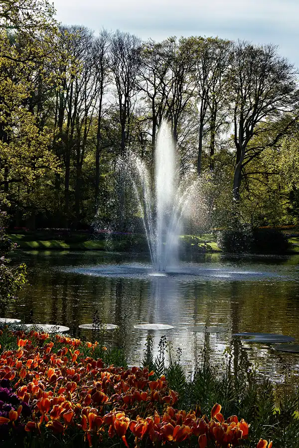 049 | 2024 | Lisse | Keukenhof | © carsten riede fotografie