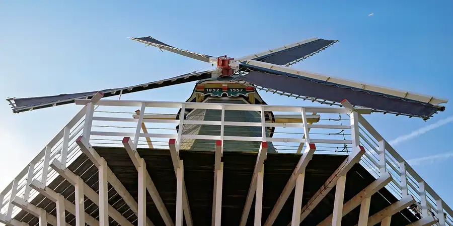 062 | 2024 | Lisse | Keukenhof | © carsten riede fotografie