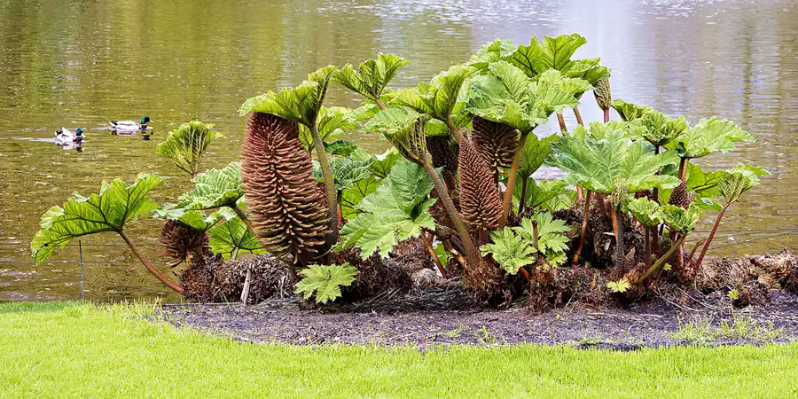 086 | 2024 | Lisse | Keukenhof | © carsten riede fotografie