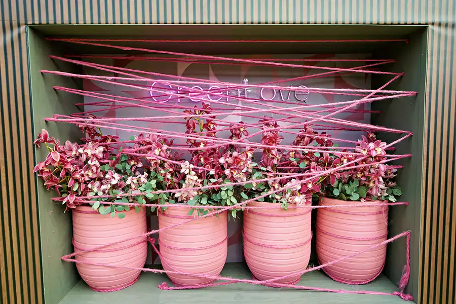 087 | 2024 | Lisse | Keukenhof | © carsten riede fotografie